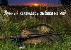 Лунный календарь рыбака на май 2024 года