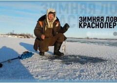 Зимняя ловля краснопёрки и подбор рабочих мормышек