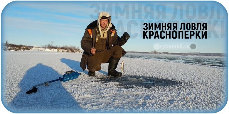 Зимняя ловля краснопёрки и подбор рабочих мормышек