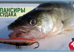 Ловля на балансир зимой судака и топ лучших моделей