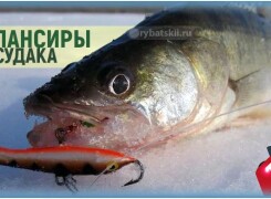 Ловля на балансир зимой судака и топ лучших моделей