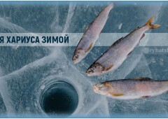 Зимняя рыбалка на хариуса со льда и подготовка снастей