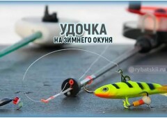 Выбор и оснастка удочки на окуня для зимней рыбалки