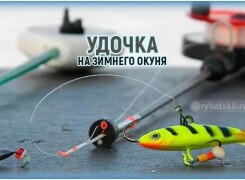 Выбор и оснастка удочки на окуня для зимней рыбалки