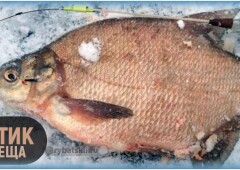 Ловля леща на чёртика зимой и выбор мормышки
