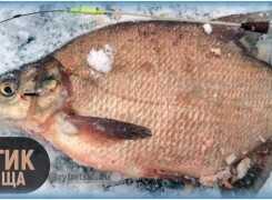 Ловля леща на чёртика зимой и выбор мормышки