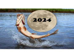 Лунный календарь рыболова на 2024 год