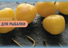 Как варить горох для рыбалки и ловить на него рыбу