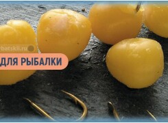 Как варить горох для рыбалки и ловить на него рыбу