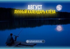 Лунный календарь рыболова на август 2022 года и прогноз клёва по фазам луны