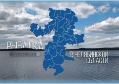 Лучшие места для рыбалки в Челябинске и Челябинской области