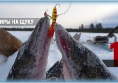 Рейтинг рабочих зимних балансиров на щуку и нюансы выбора