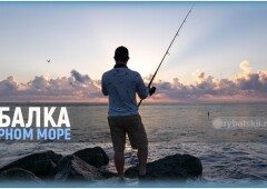 На что ловят рыбу на Черном море и на какие снасти