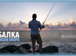 На что ловят рыбу на Черном море и на какие снасти