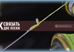 Как связать два конца лески между собой и когда это делать не стоит