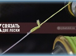Как связать два конца лески между собой и когда это делать не стоит