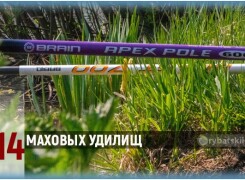 Обзор лучших маховых удочек от бюджетных до дорогих
