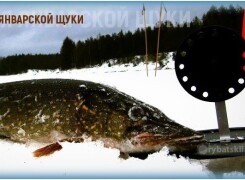 Как ловить щуку в январе и где искать хищницу
