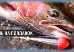 Как ловить форель на удочку с поплавком и сделать монтаж снасти