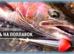 Как ловить форель на удочку с поплавком и сделать монтаж снасти