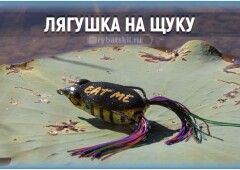 Ловля щуки на силиконовую приманку лягушку незацепляйку
