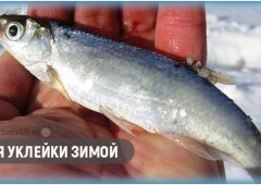 Как ловить уклейку со льда и подготовить зимнюю оснастку
