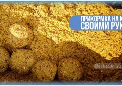 Лучшие и самые простые рецепты домашней прикормки на карася