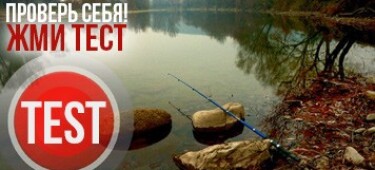 Тест на знание нюансов весенней рыбалки