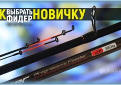 Какой должна быть фидерная удочка для начинающих