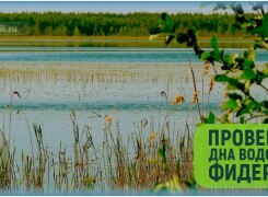 Как пробить дно фидером и промерить глубину для поиска точки ловли