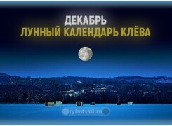 Лунный календарь рыбака на декабрь 2021 года и прогноз клева на каждый день