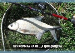 Лучшие рецепты фидерной прикормки для леща своими руками