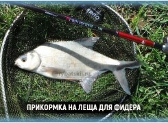 Лучшие рецепты фидерной прикормки для леща своими руками