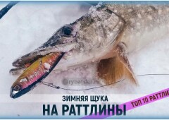 Ловля щуки на раттлины зимой и уловистые приманки