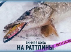 Ловля щуки на раттлины зимой и уловистые приманки
