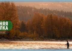 Особенности осенней рыбалки и секреты ловли рыбы осенью