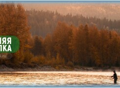 Особенности осенней рыбалки и секреты ловли рыбы осенью
