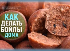 Как сделать бойлы в домашних условиях на карпа и другую рыбу