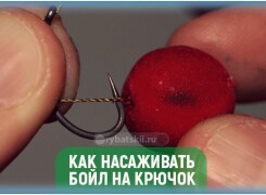 Как правильно насаживать бойл на крючок и делать монтаж
