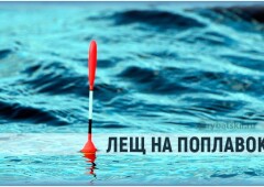 Как ловить леща на удочку с поплавком и собрать снасть