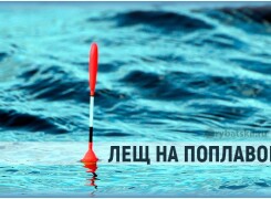 Как ловить леща на удочку с поплавком и собрать снасть