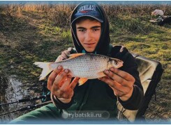 Как ловить плотву на фидер и что стоит учитывать