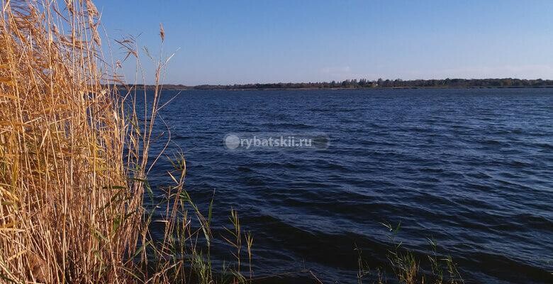 Фото с рыбалки №2