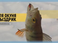 Как ловить на пыздрик зимой и сделать оснастку