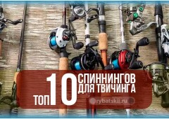 Как выбрать спиннинг для твичинга и рейтинг топовых удилищ от эксперта