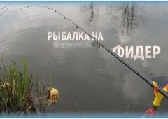 Рыбалка на фидер для начинающих от А до Я