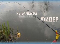 Рыбалка на фидер для начинающих от А до Я