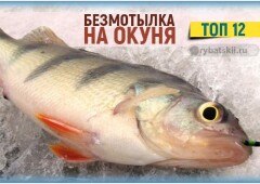 Ловля окуня зимой на безмотылку и рейтинг лучших моделей