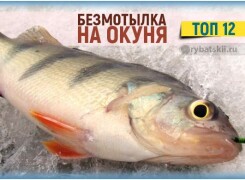 Ловля окуня зимой на безмотылку и рейтинг лучших моделей