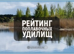 Как выбрать удочку для поплавочной рыбалки и рейтинг лучших удилищ на 2024 год